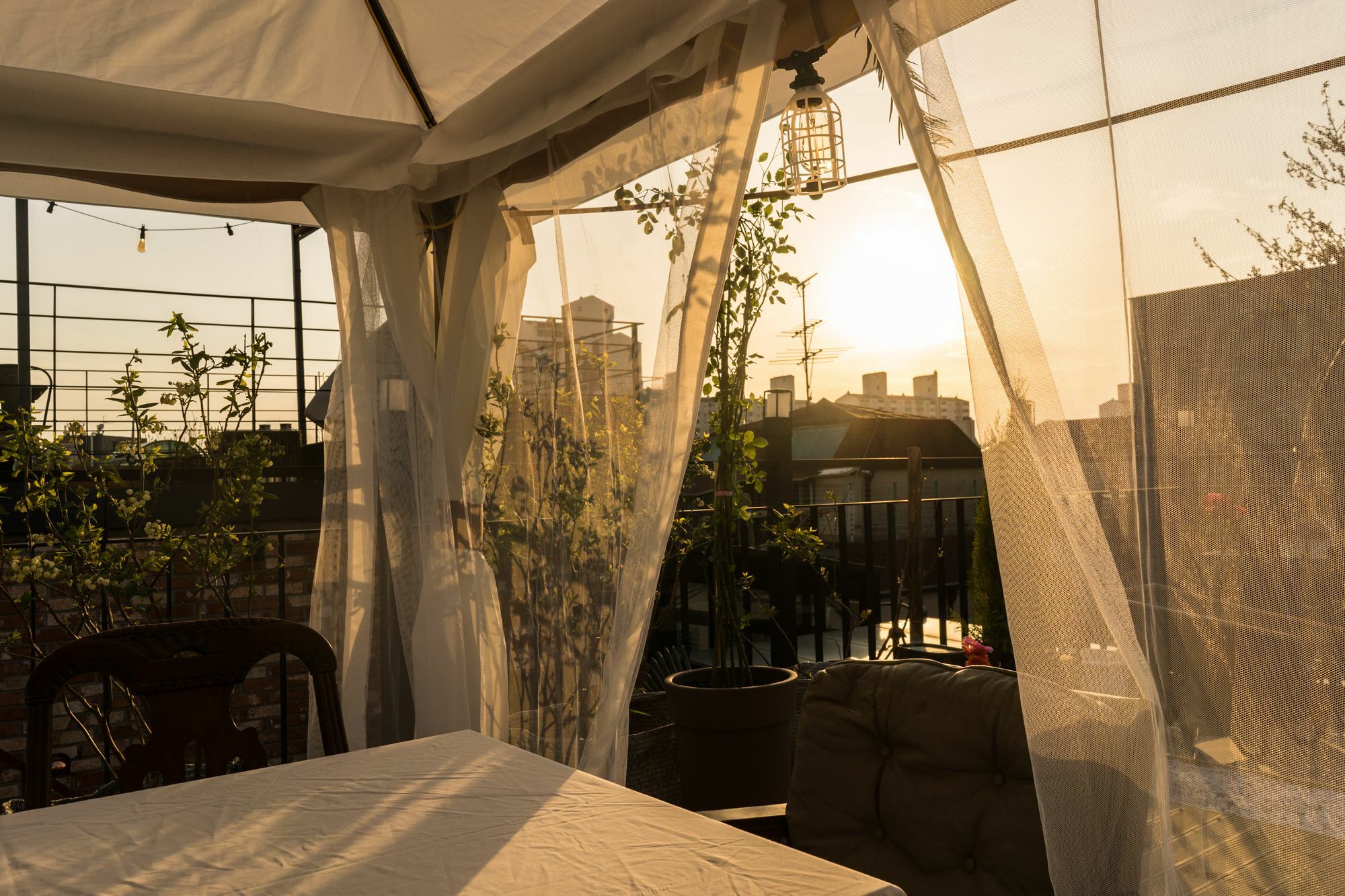 Tetto House Rooftop Garden ソウル特別市 エクステリア 写真